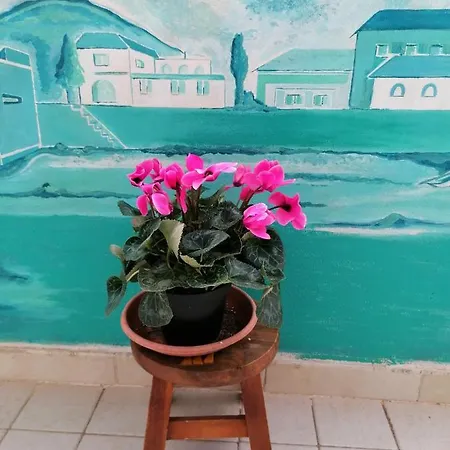 Bed & Breakfast Il Giardinetto *